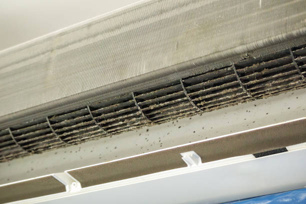 Best Local Air Duct Cleaning Services  in Woodville, CA